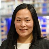 Yan Wang