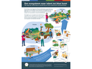TotaalDigitaal_EcosysteemTalentinBloei_Erkennen_Waarderen_UvN_LanaKlok.pdf (PDF, 951 KB)