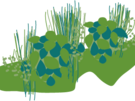 Kruidenheuvel.png (PNG, 48.4 KB)