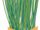kruidenpot_2.png (PNG, 18.5 KB)